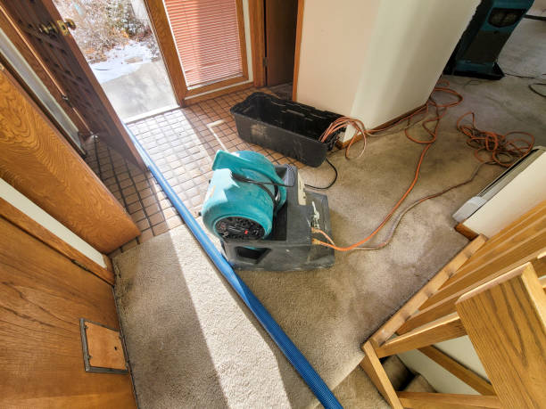 Reliable Pike Road, AL Water damage restoration Solutions