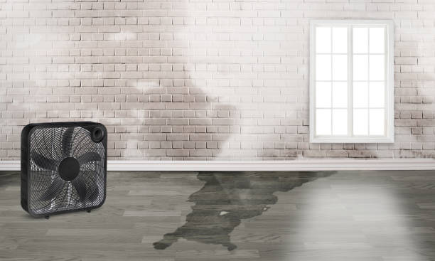 Best 24/7 water damage repair  in Pike Road, AL