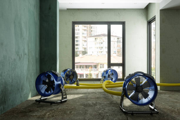 Best Ceiling water damage repair  in Pike Road, AL